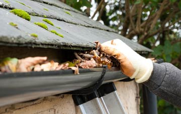 gutter cleaning Swyre, Dorset