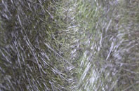 Swyre fibreglass roof work