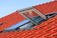 Swyre roof window